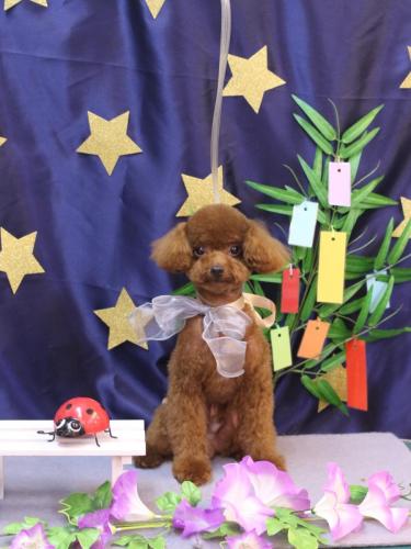 20230701カイくん